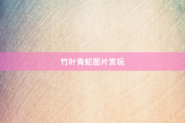 竹叶青蛇图片赏玩