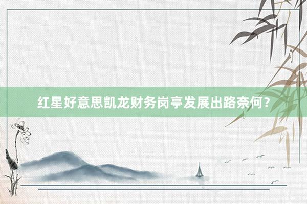 红星好意思凯龙财务岗亭发展出路奈何？